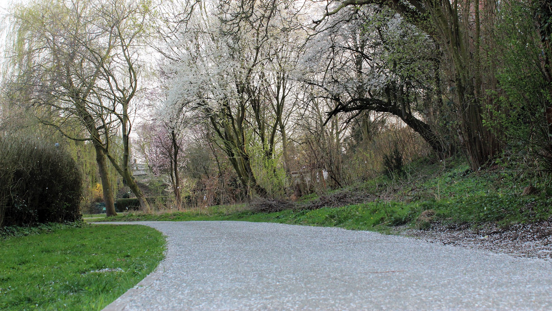 park, 12.jpg