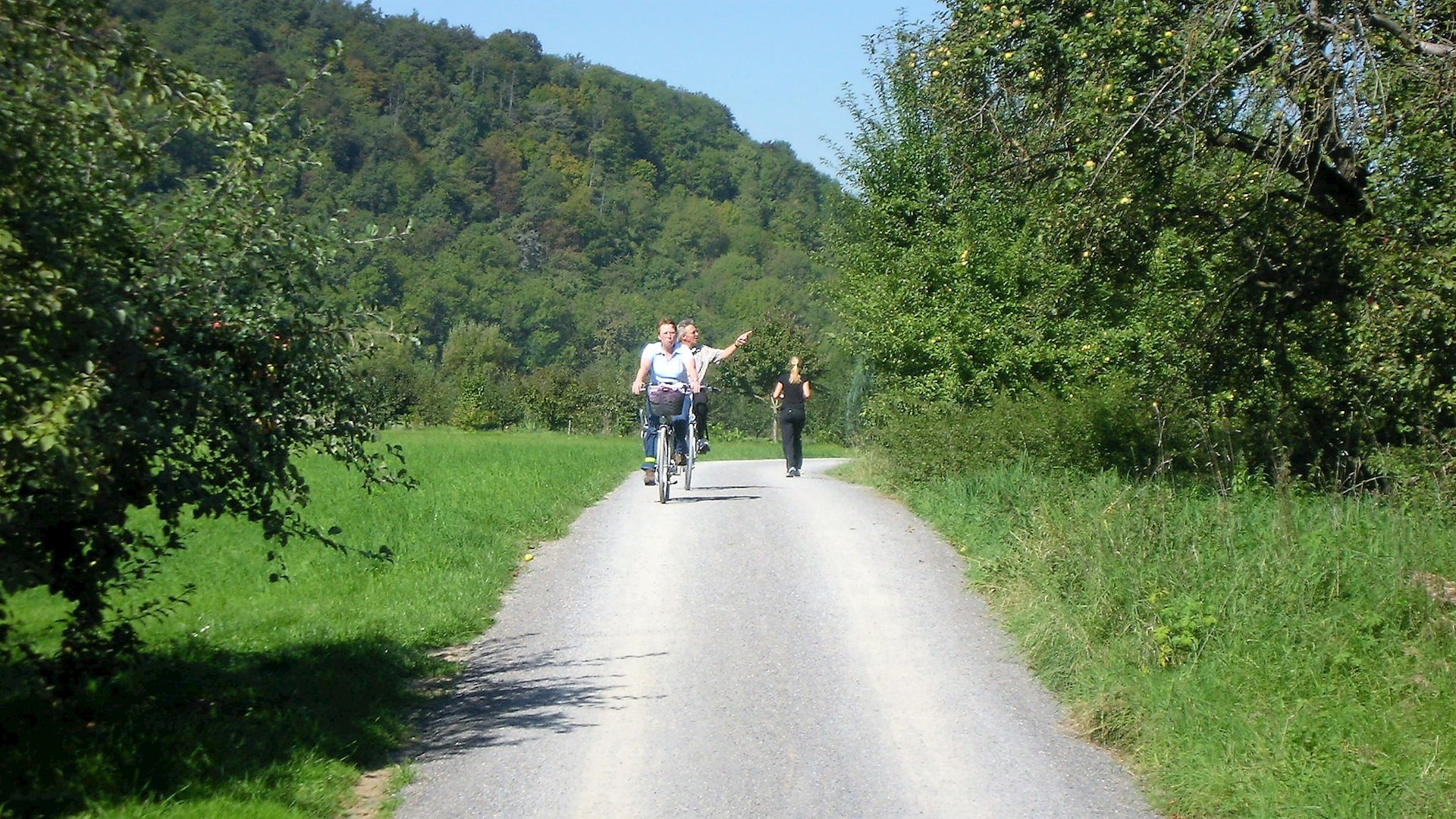 fietspad, 5.jpg