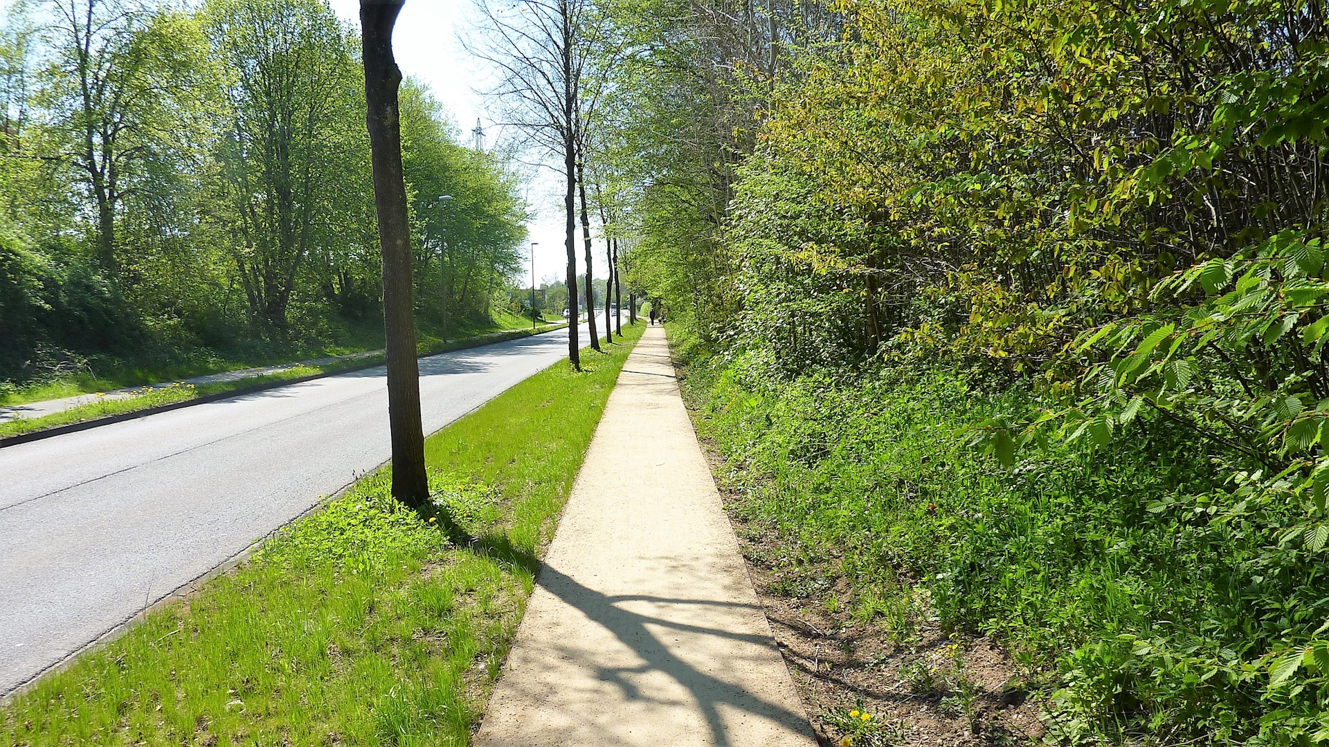 fietspad, 6.jpg