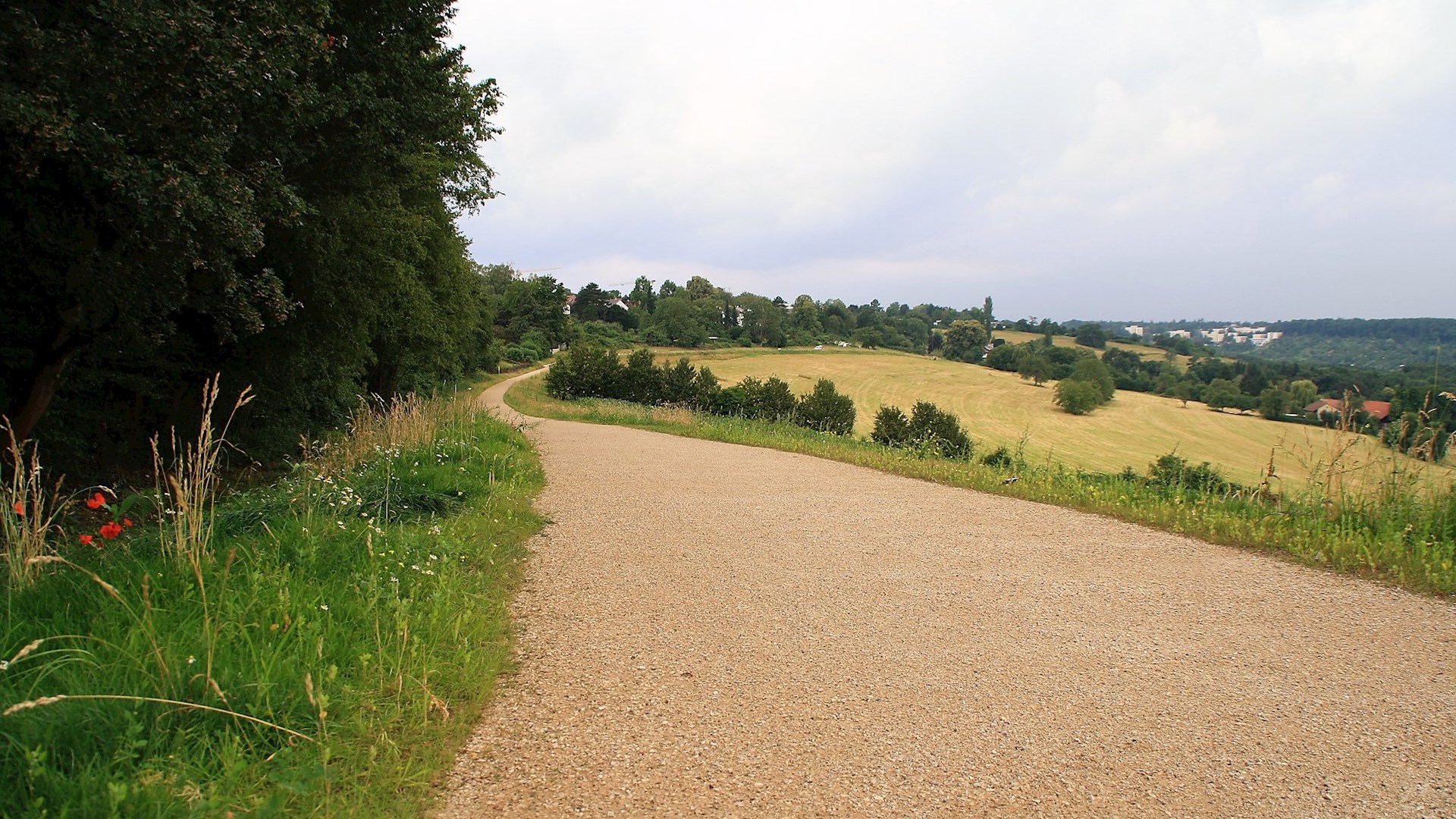 weg, 3.jpg