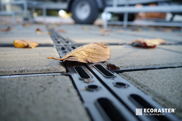bloxx herbst.jpg