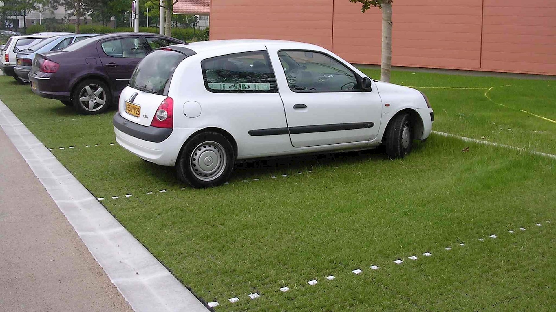 grasparking met blokjes.jpg